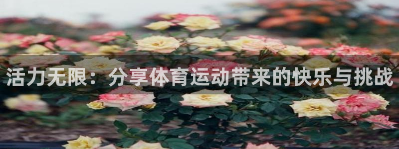 必一运动