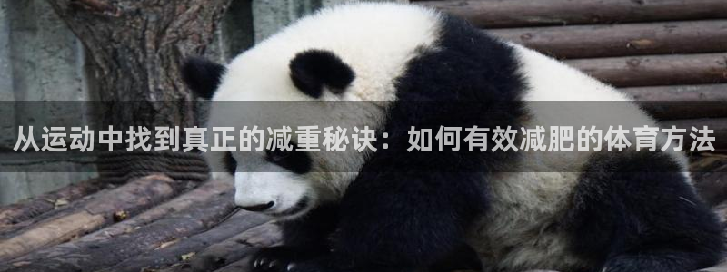 必一运动bsport体育