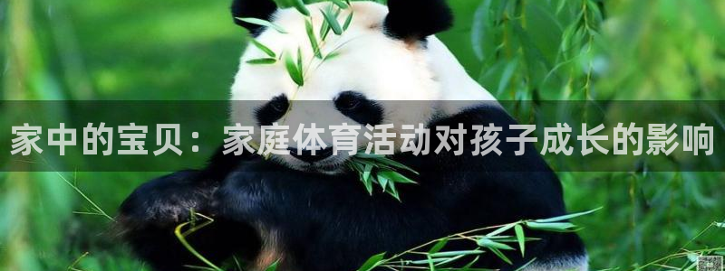 必一运动体育官网入口：家中的宝贝：家庭体育活动对孩子成长的影响