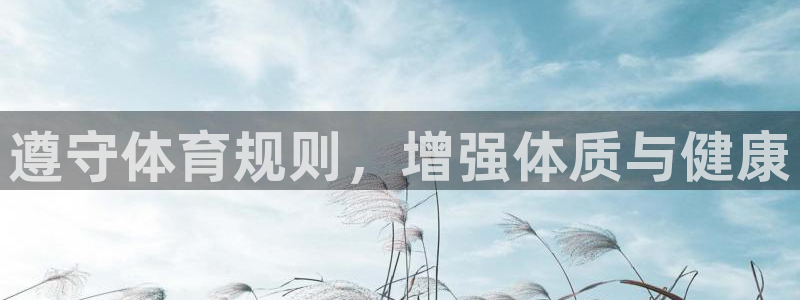 必一运动：遵守体育规则，增强体质与健康