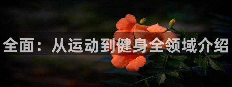 必一运动体育官网