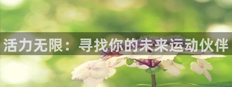 bsport必一运动：活力无限：寻找你的未来运动伙伴