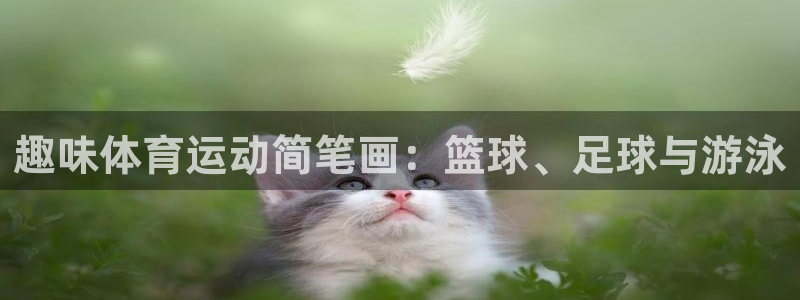 必一运动体育官网入口