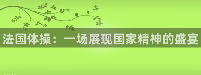 必一运动bsport体育：法国体操：一场展现国家精神的盛宴