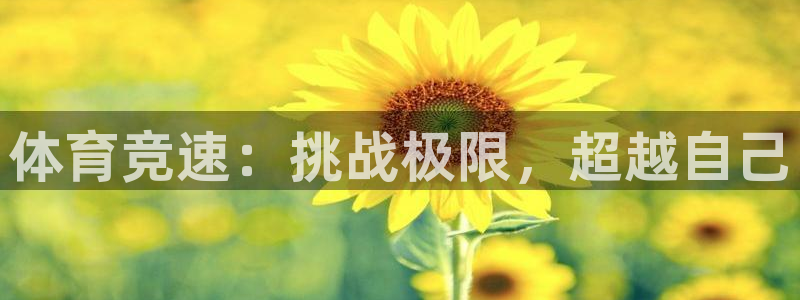 必一运动体育官网：体育竞速：挑战极限，超越自己