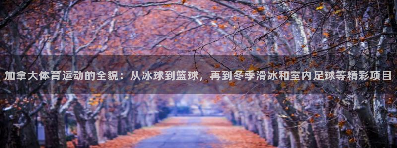 必一运动官网入口：加拿大体育运动的全貌：从冰球到篮球，再到冬季滑冰和室内足球等精彩项目