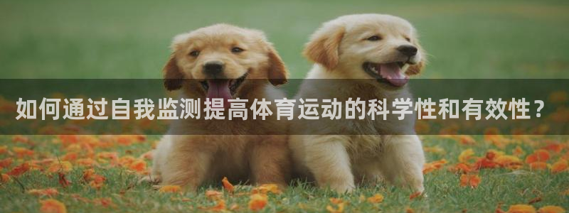 必一运动官网：如何通过自我监测提高体育运动的科学性和有效性？