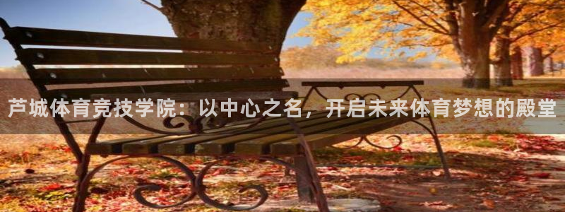 bsport必一运动：芦城体育竞技学院：以中心之名，开启未来体育梦想的殿堂